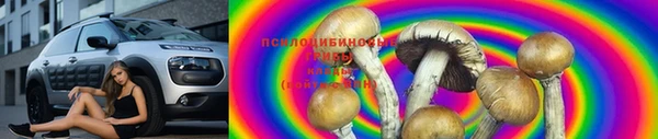 MESCALINE Надым