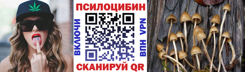 Галлюциногенные грибы Cubensis  Купить закладки  Среднеуральск 